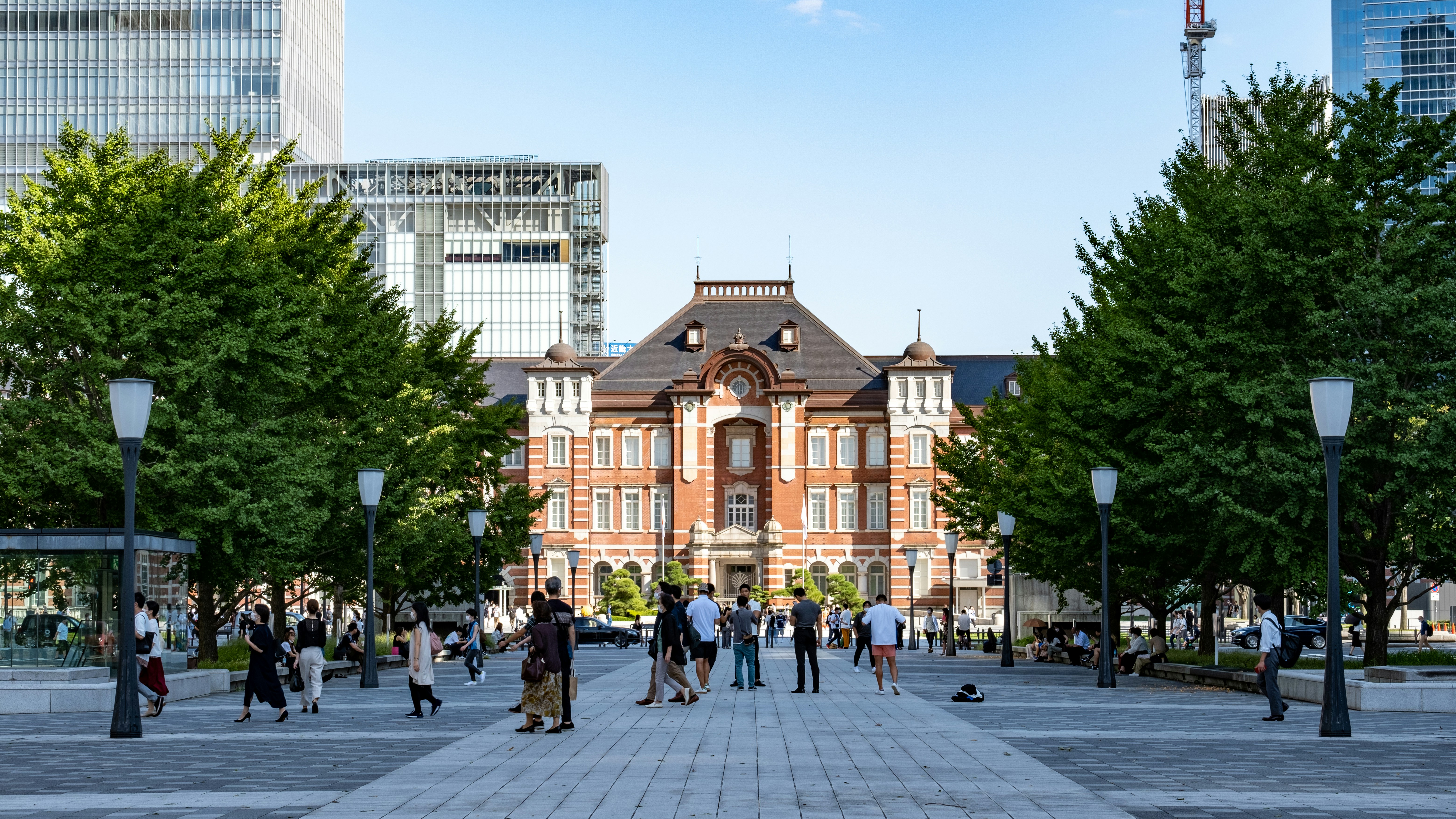 代表駒沢大斗